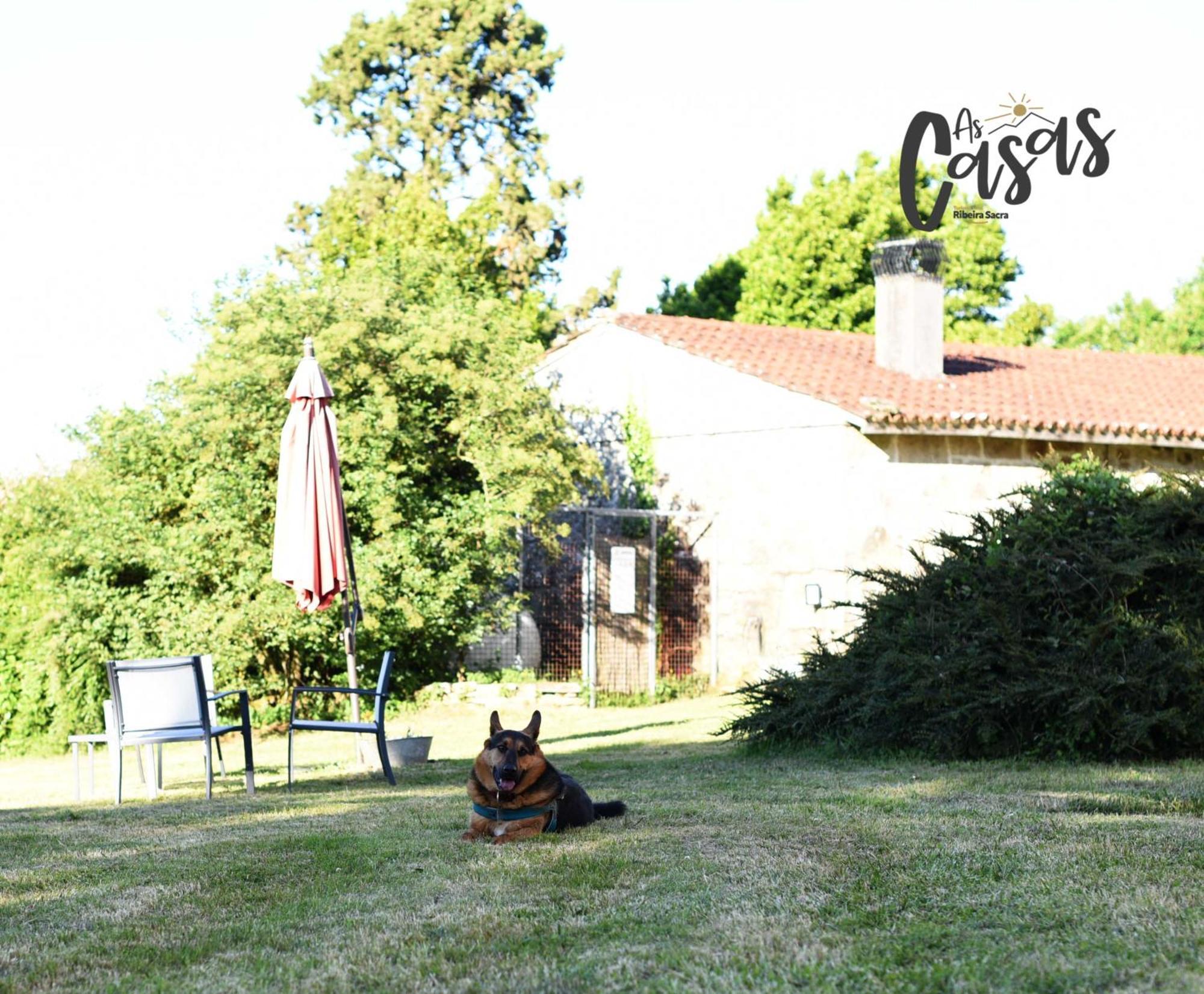 Hotel As Casas Ribeira Sacra Chantada Zewnętrze zdjęcie